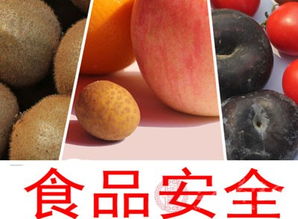 潍坊奎文区开展流通环节进口食品与食用农产品批发专项检查，筑牢食品安全防线